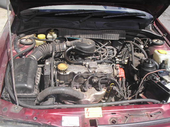 P1010039.JPG