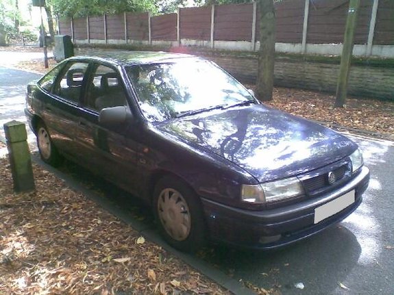 leafylane3.jpg