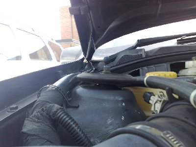 Offside strut top (from front).jpg