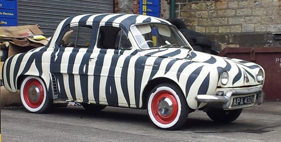 20130809_zebra car.jpg