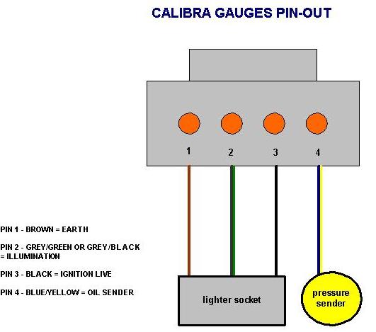 cal gauges.JPG